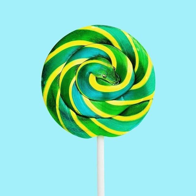 noticias doidas Photosho 3