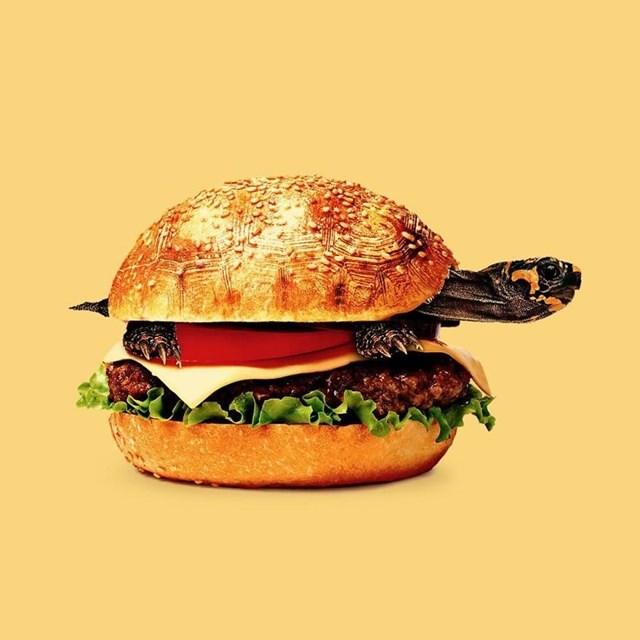 noticias doidas Photosho 7