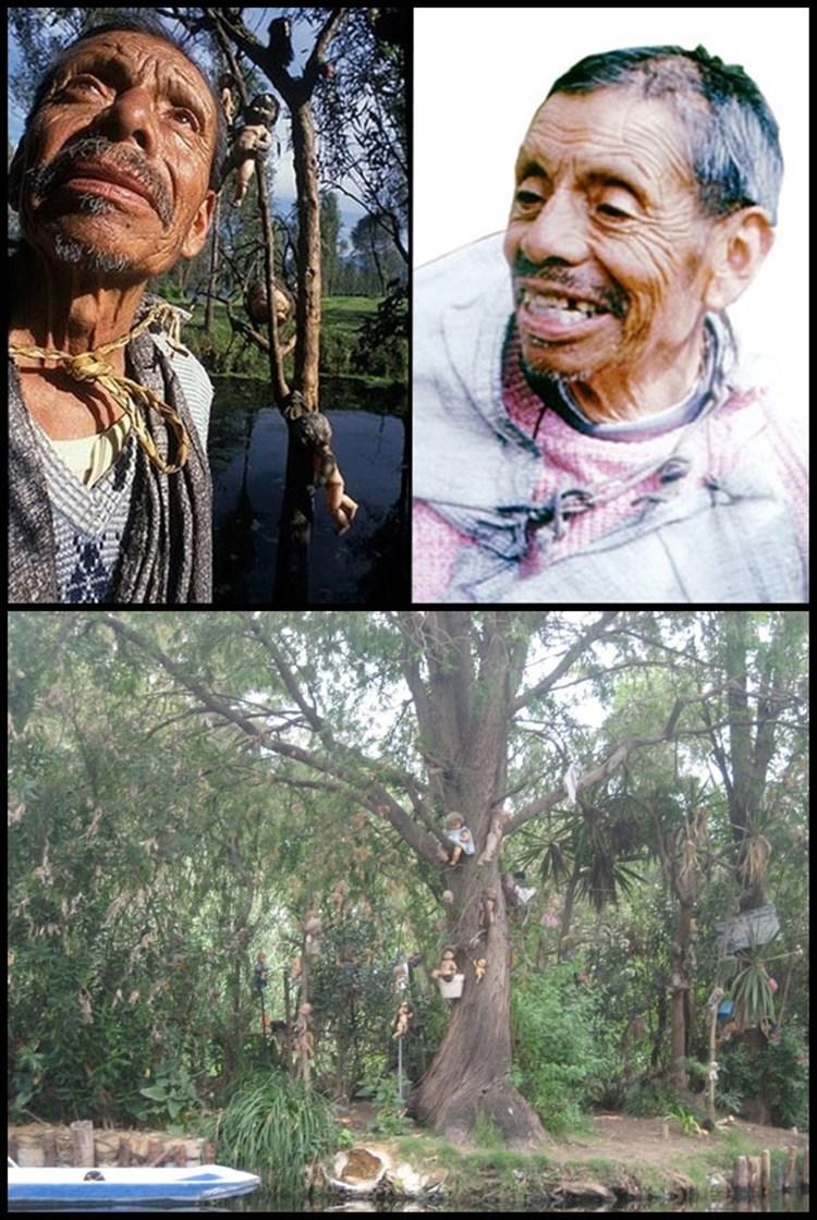 noticias doidas bonecas