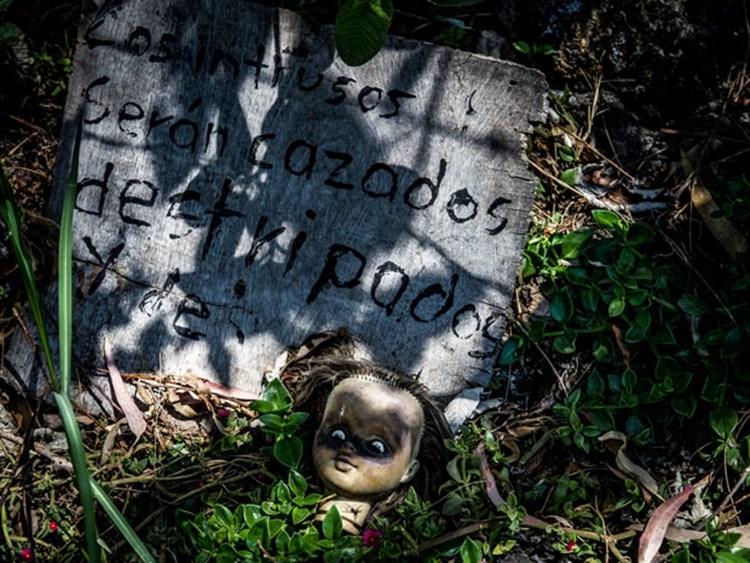 noticias doidas bonecas11