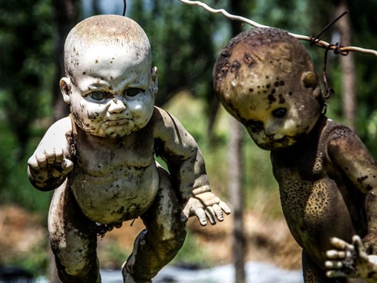 noticias doidas bonecas12