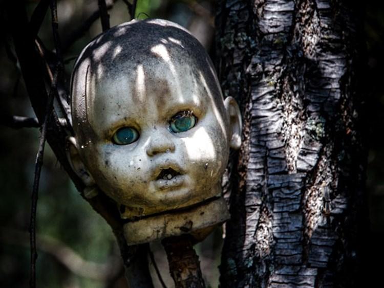 noticias doidas bonecas3