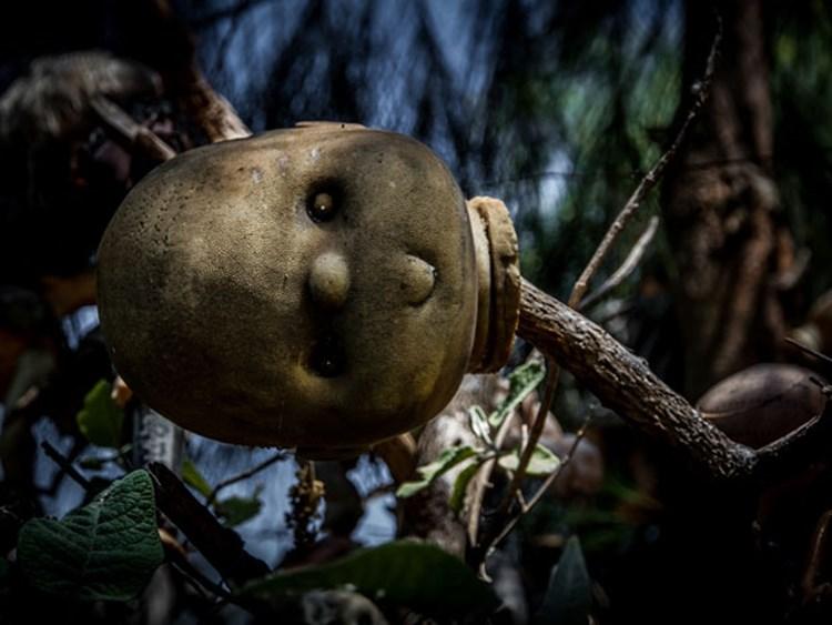 noticias doidas bonecas5