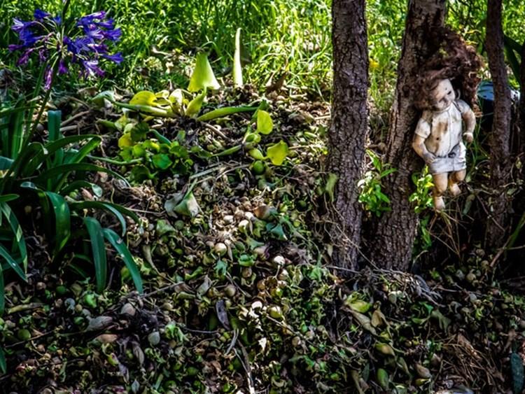 noticias doidas bonecas7