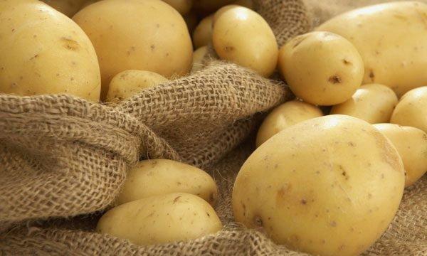 noticias doidas coisas erradas5