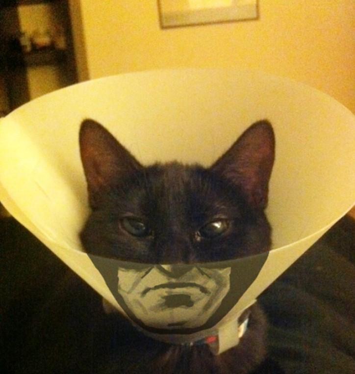 noticias doidas conhecidencia6