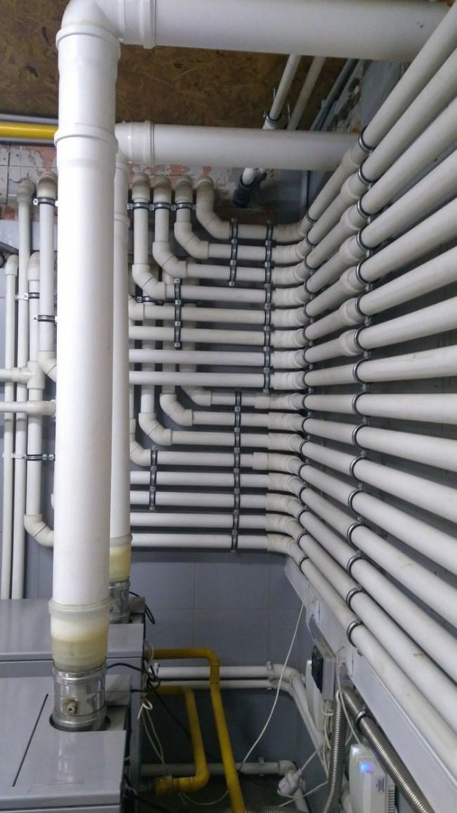 noticias doidas imagens 5