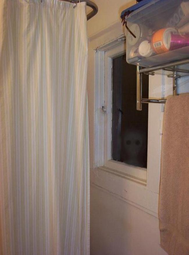 noticias doidas medo 10