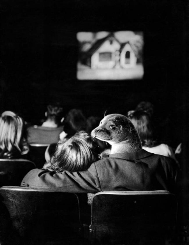 noticias doidas montagens16