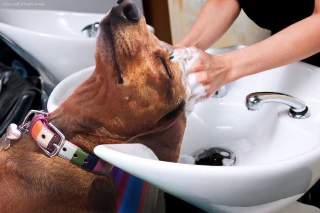 noticias doidas montagens26