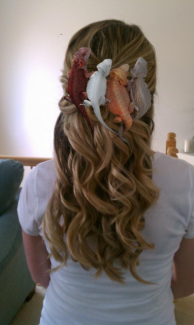 noticias doidas montagens28