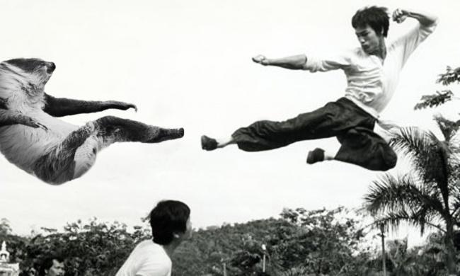 noticias doidas montagens30