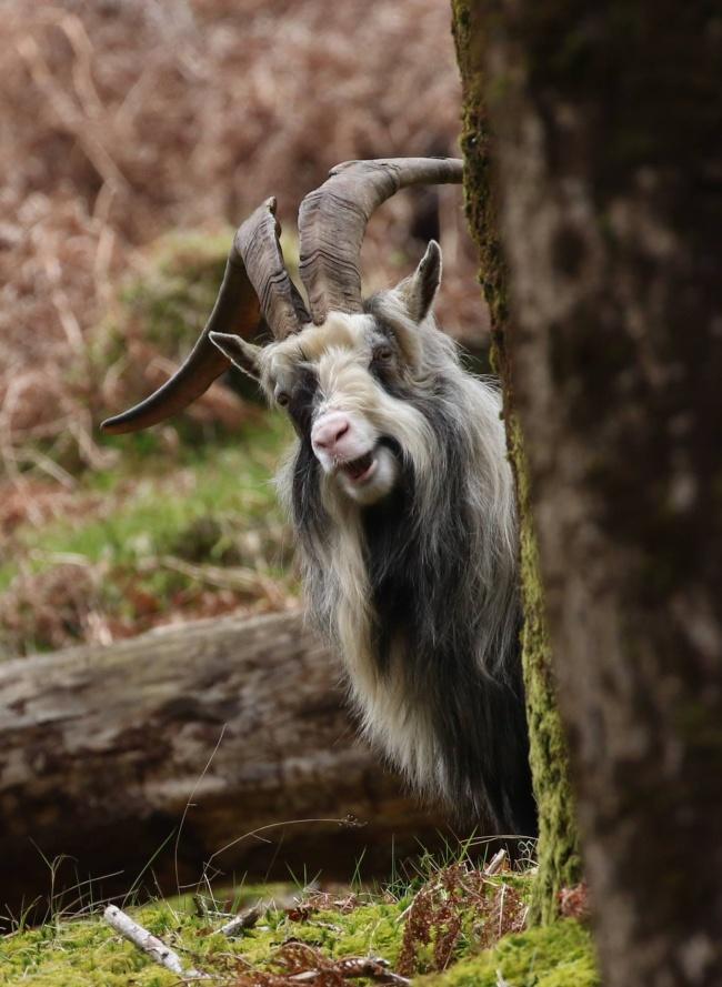 noticias doidas montagens5