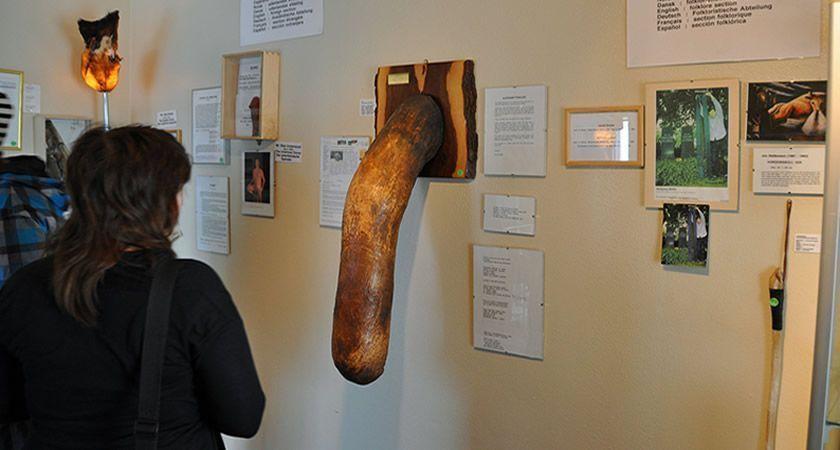 noticias doidas museu dos penis