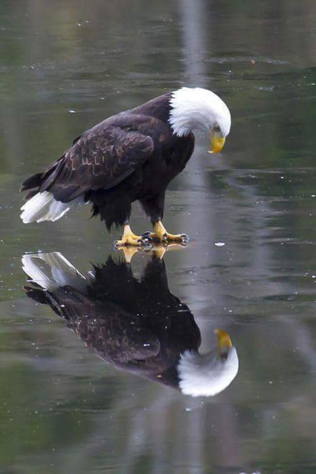 noticias doidas realidade7