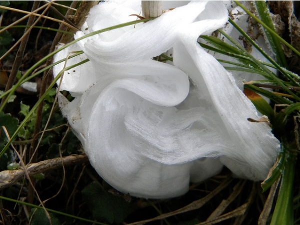 noticias doidas zero5