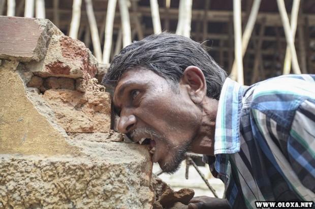 o comedor de tijolos 2