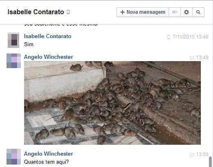 O melhor do Facebook são os BR 24 o melhor do facebook sao os br 4