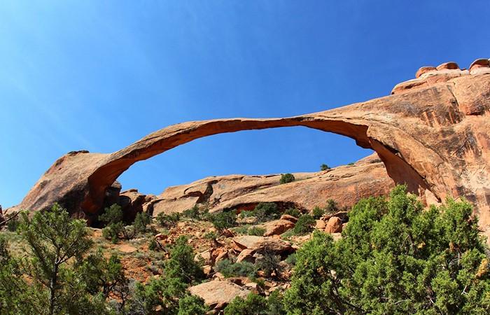 oloxa Arcos perfeitos 6