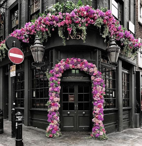 Conheça algumas casas que as plantas tomaram conta