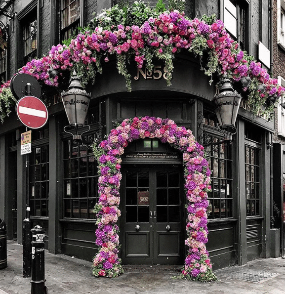 oloxa casa com plantas 1