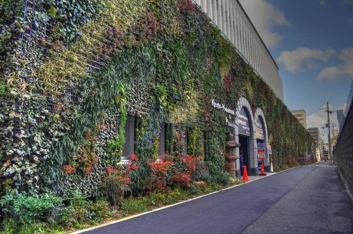 oloxa casa com plantas 5