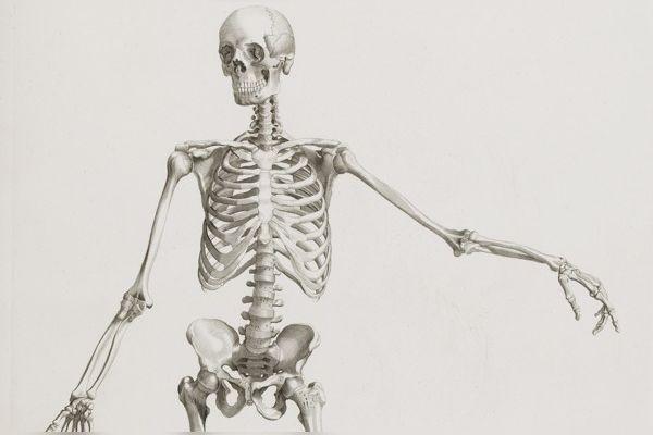 oloxa formas de morrer 1