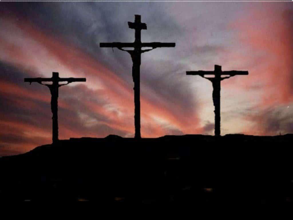 As piores formas de morrer segundo a ciência