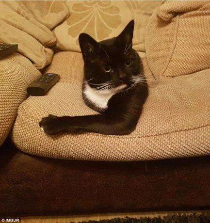 oloxa fotos com ilusao de otica 4