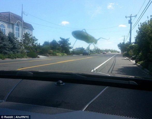 oloxa fotos com ilusao de otica 5