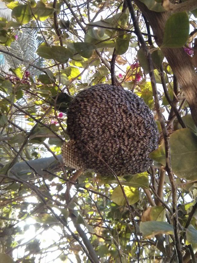 oloxa fotos de adr medo 10