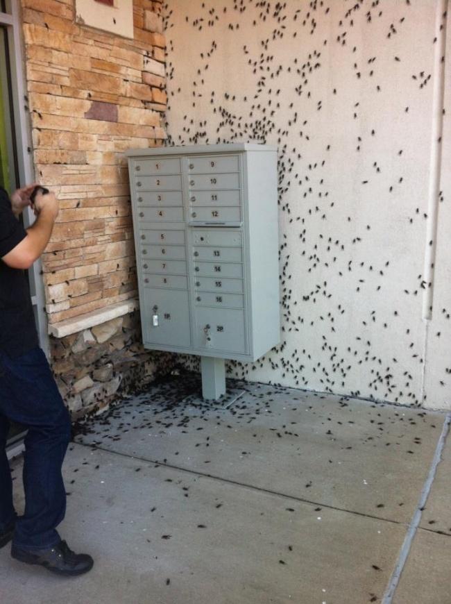 oloxa fotos de adr medo 9