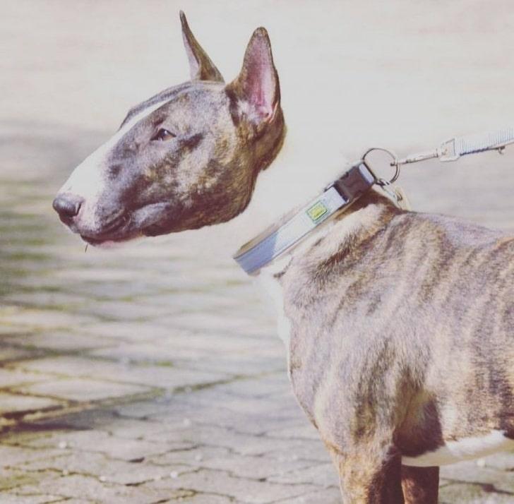 oloxa fotos que nao foram retocadas 1