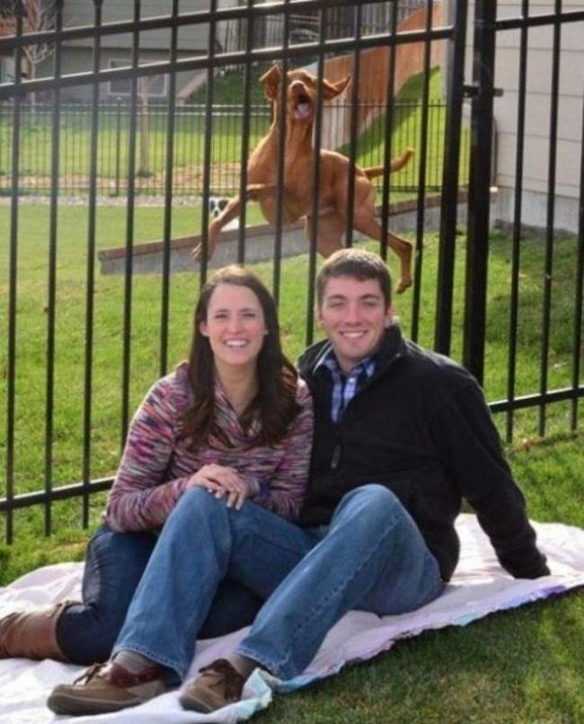 oloxa fundos de fotos 10