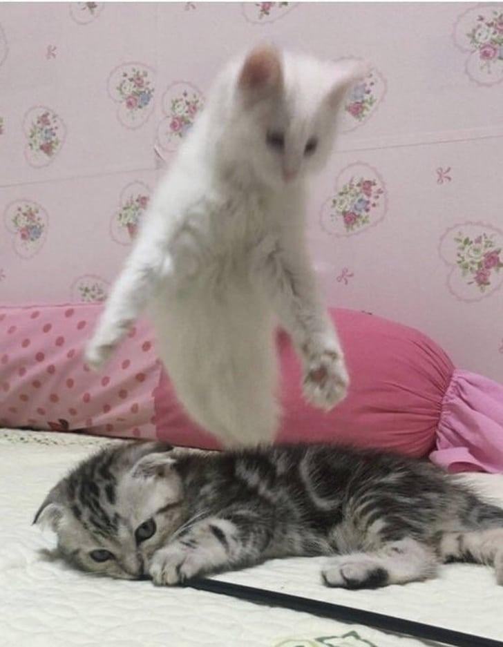 oloxa moemtos exatos 12