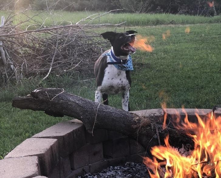 Veja as fotos que foram tiradas em momentos exatos