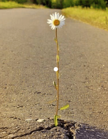 Provas de que a natureza é quem manda em nosso planeta