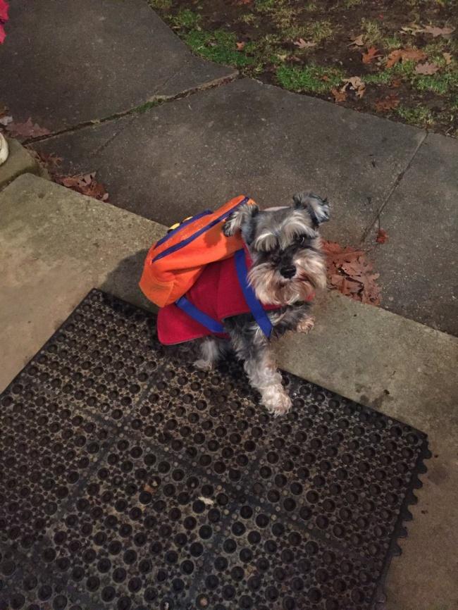 oloxa pessoas exageradas 2