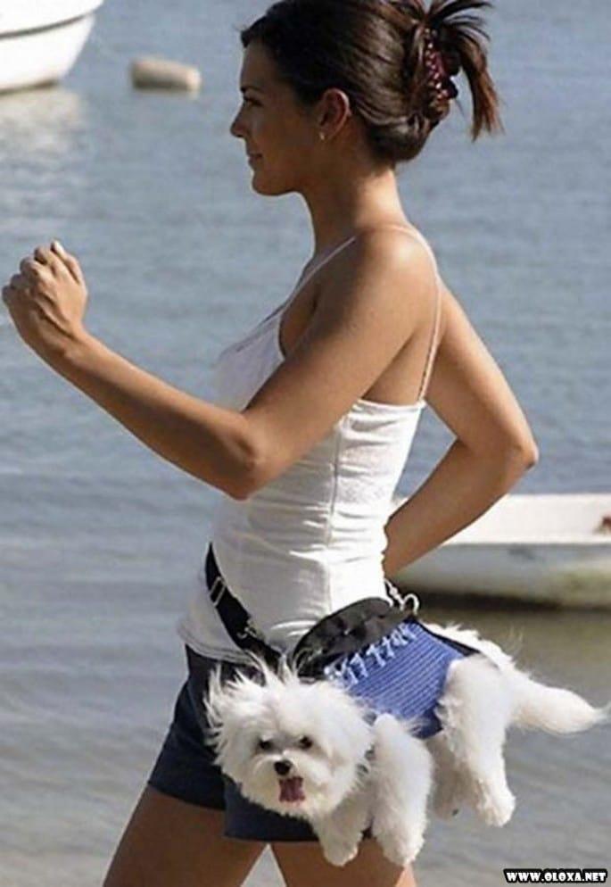 os cachorros mais feios e engracados pelo mundo 31