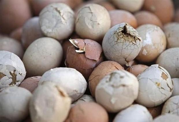 Ovos mijados – a iguaria chinesa que desafia seu estômago (e sua sanidade) 25 ovos mijados 16