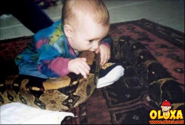 pais sem noção (14)