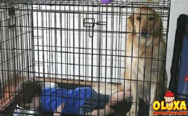 pais sem noção (1)