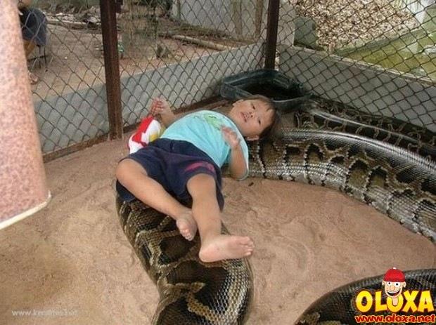 pais sem noção (2)