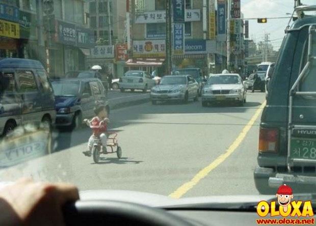 pais sem noção (5)