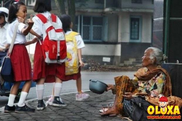 pais sem noção (7)