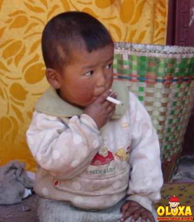 pais sem noção (8)