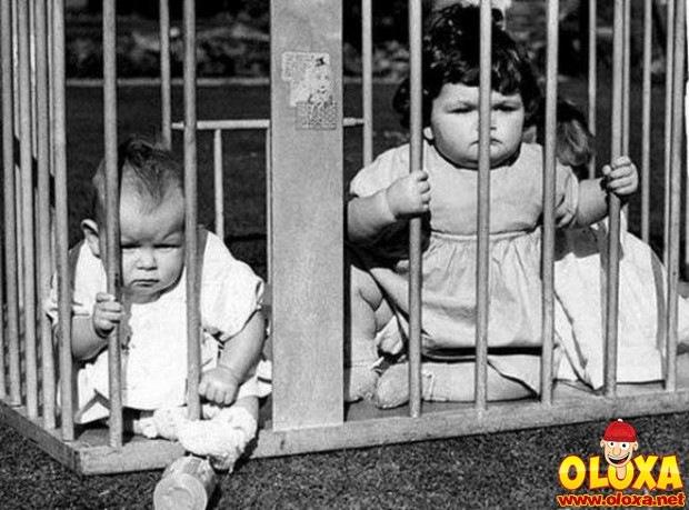 pais sem noção (9)