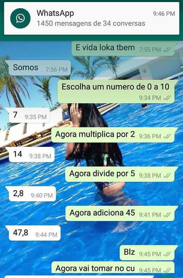 perolas do zapzap 17