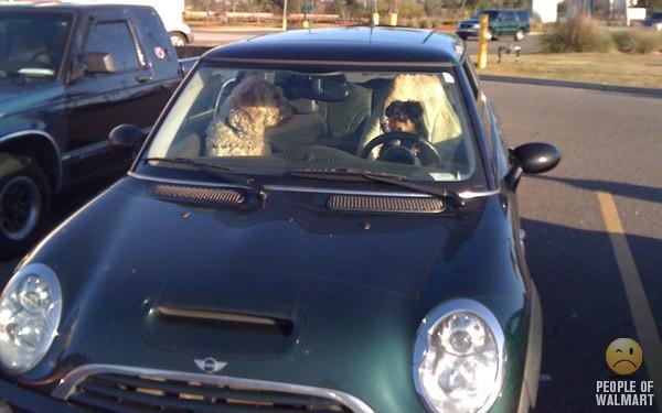 pessoas esquisitas em supermercado 5