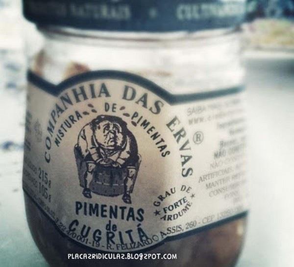 placas ridiculas (10)